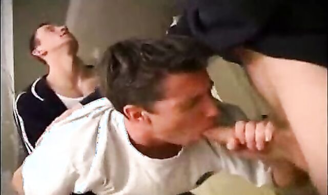 Public Toilets three-some