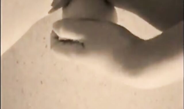 Big dildo balls deep in twink