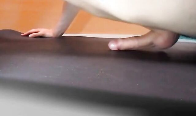 Pushups humping and cumming handsfree