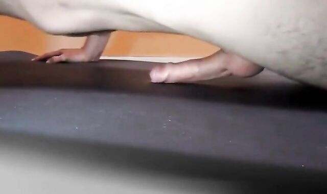 Pushups humping and cumming handsfree
