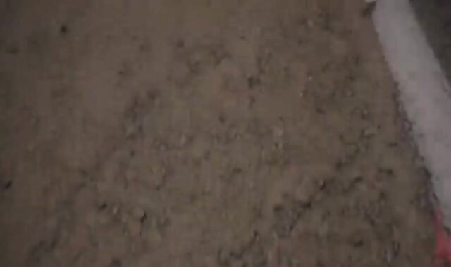 affixed For Sodom Part 1