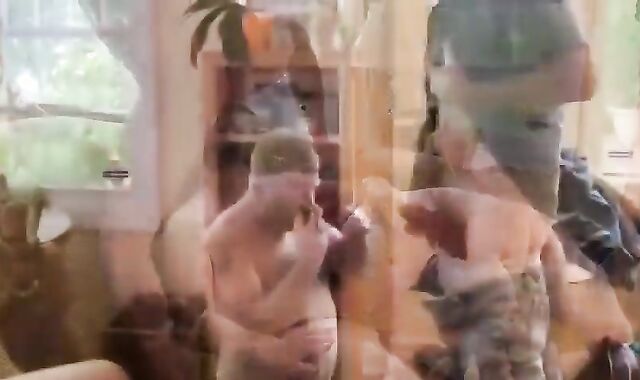 Pig Father plow-out In The Afternoon