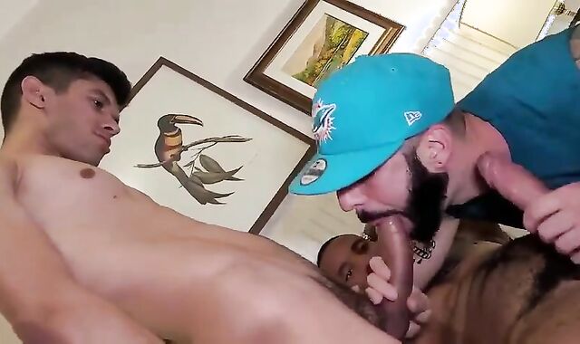 Lovin Romeo. lusty homosexual Hook-up