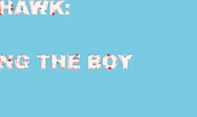 Chicken Hawk Daddy / youngster