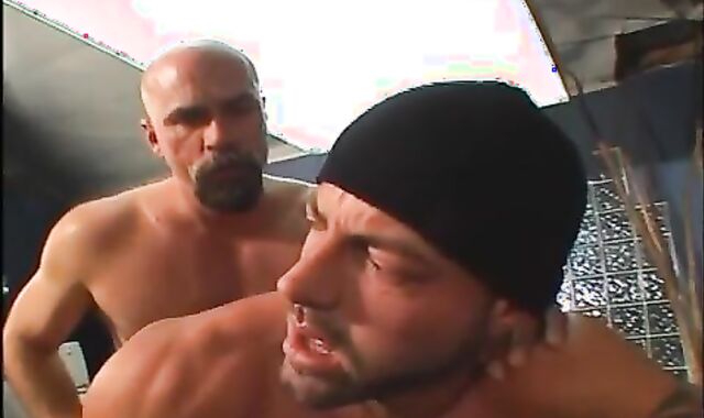 good-sized Rig Cubs - Scene 1