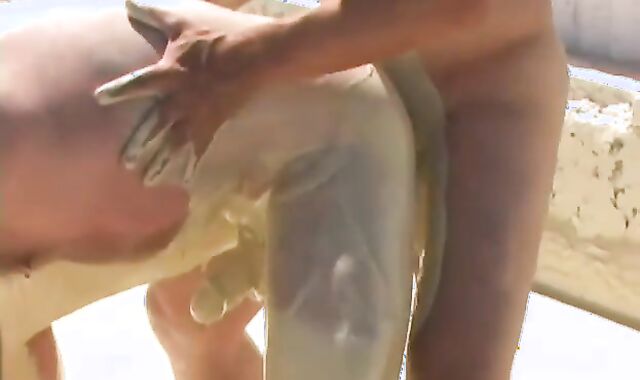 Dexters Playspace - Gig 1