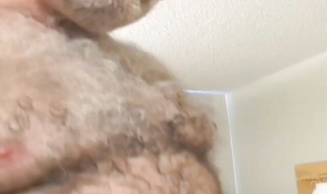 Father - My fellow barely legal age teen