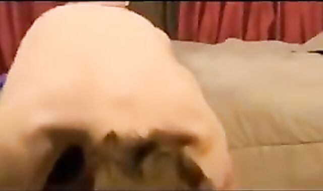 After Dinner With Daddy