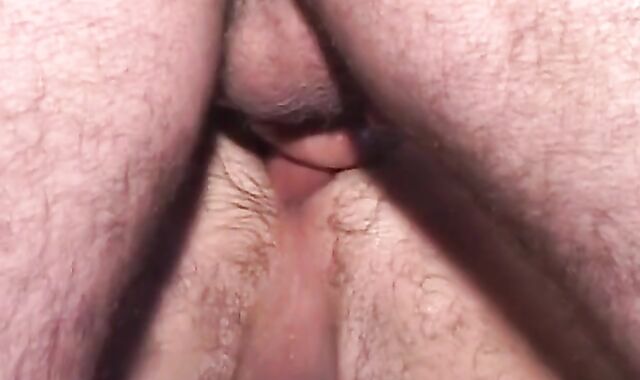 Bear Father bonks Father