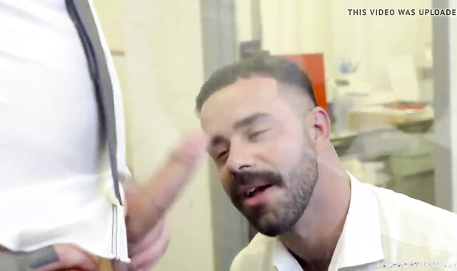 Markus K. pummel Otter T.