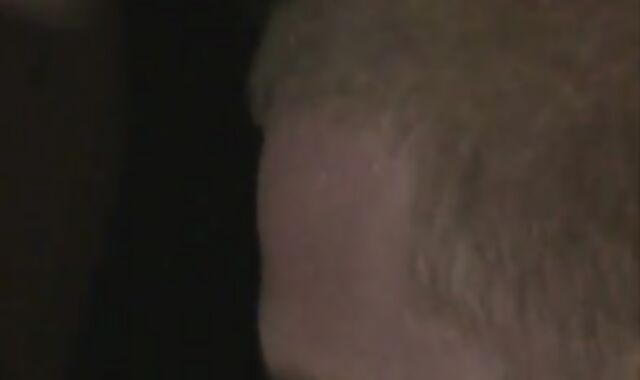 dad grizzly and the grizzly