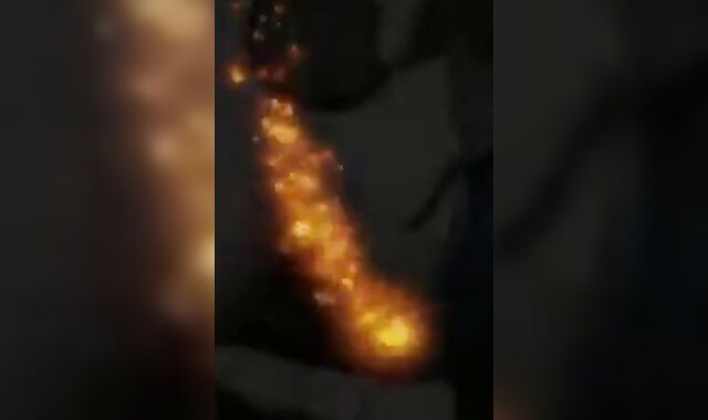 Anon Top Breed and Seed