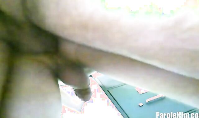 Otter likes sticking rock-stiff in HD