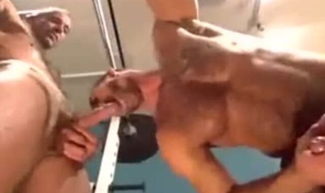 Gymrats At Have fun