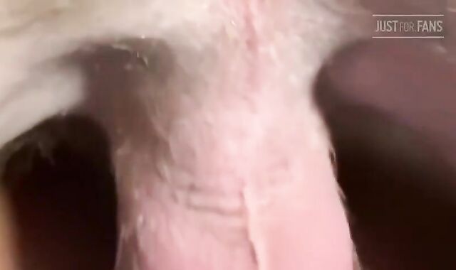 Parent And lad. appetizing fag Nail-a-thon