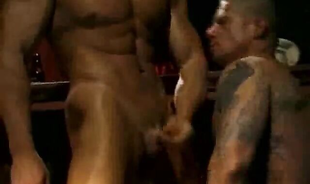 Dad And The Bartender