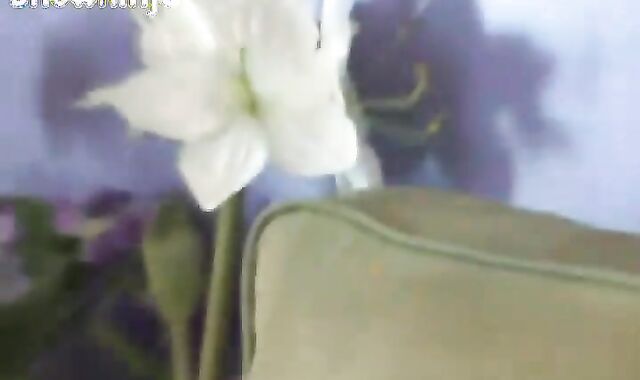 Faggot-for-pay Star John West Solo #1