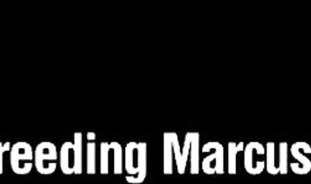 3 pretty Daddies Have fun