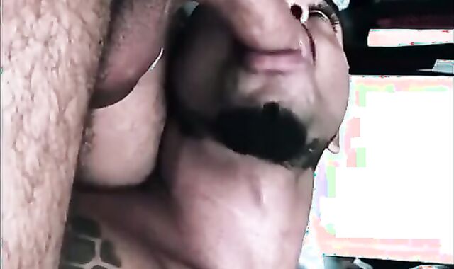 nude Chem Pty Pigs two Latino absorb Pigs Milk Big black cock Bwc father. attractive queer Hook-up