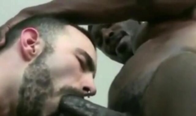 Bi-racial Romp Looks better ?