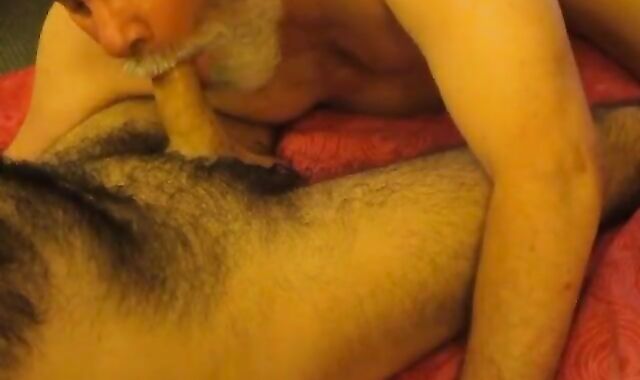 A Verbally dom, Blue Dog collar Wolf At My Door.