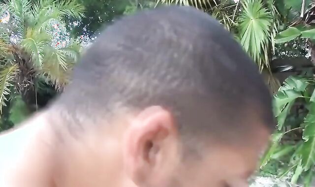 APROVEITANDO O SOL