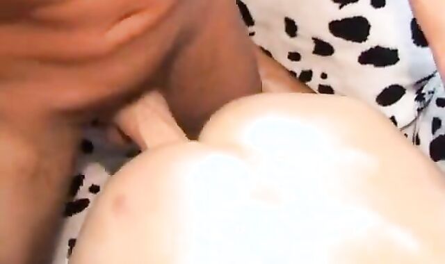 Daddy Concludes Inside