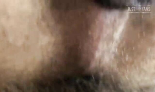 Wank Dixon Dirk Caber