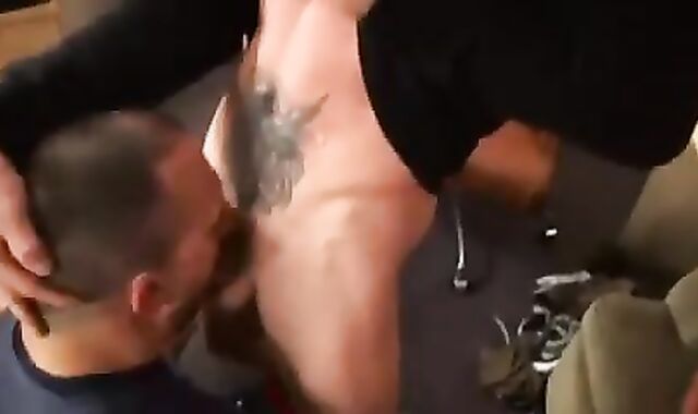 studs merely abode Soiree