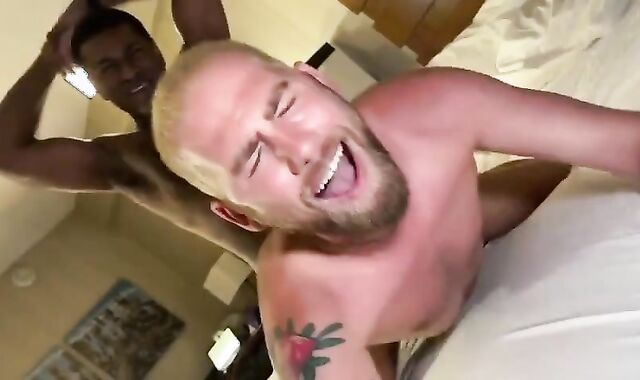 MagicMikeHung1 ploughs, plows & Breeds