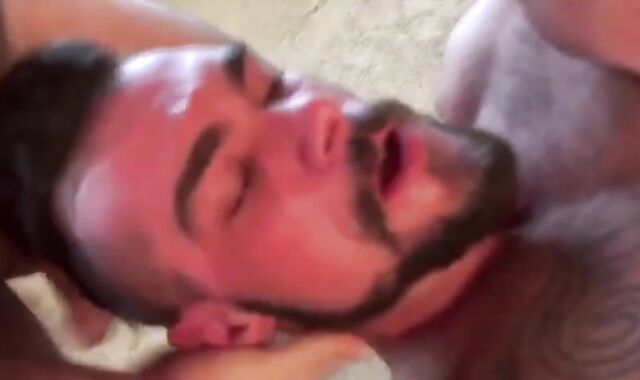 bushy Otter Needs Some humid Teaching From His two Father Otters