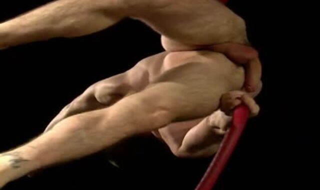 Wanking and fur covered couple