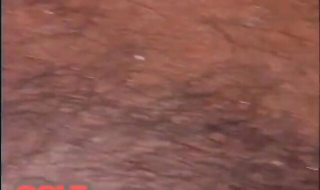 Perfection Unsheathed