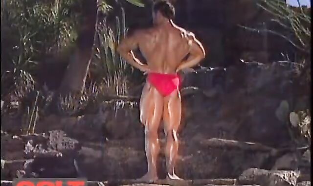 Perfection Unsheathed