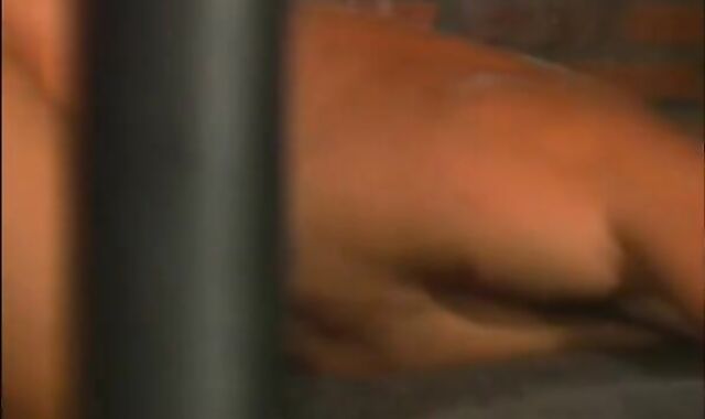 bushy Bears - Sequence two - Pacific Sun Entertainment