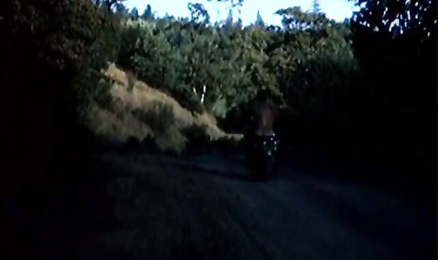 LEDERMEISTER / Vintage - 1972 COLT STUDIOS -