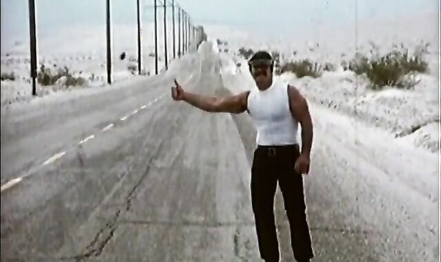 LEDERMEISTER / Vintage - 1972 COLT STUDIOS -