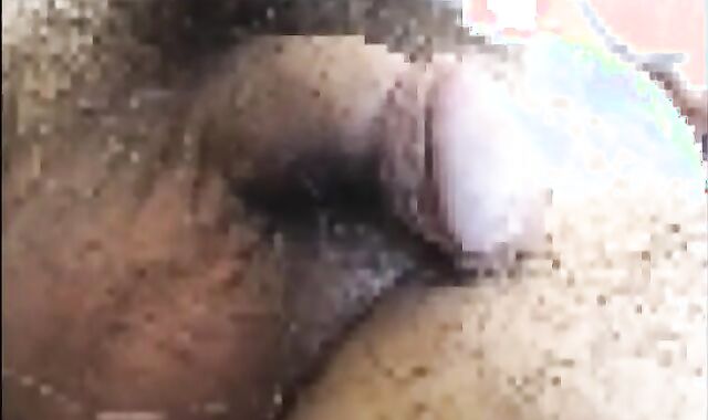 Samson Petting A Suited Grizzly Father