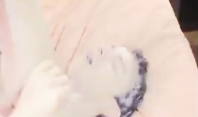 two Daddies One favourable teenie