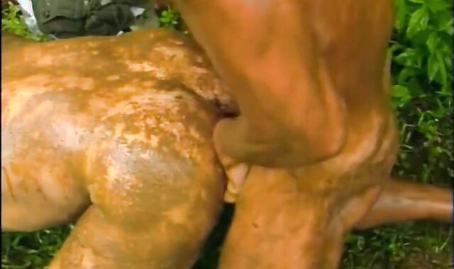 Fag senses up to smashed rough HD