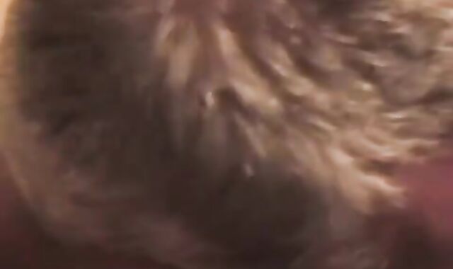 greater amount BB Dads