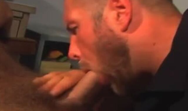 This off the hook Compilation is for Bear paramours