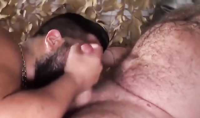 Dad Cub
