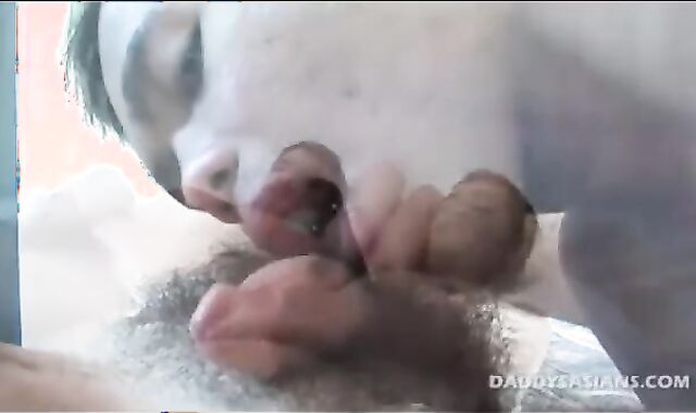 big Father Mike bonks pretty oriental lad Casper