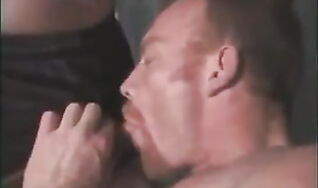 insane Teddies Workout