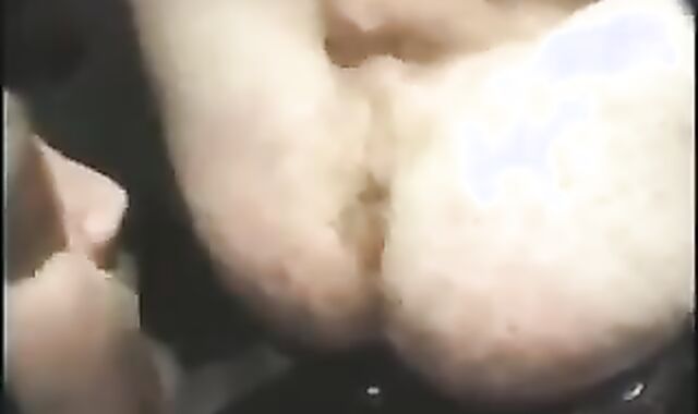 insane Teddies Workout