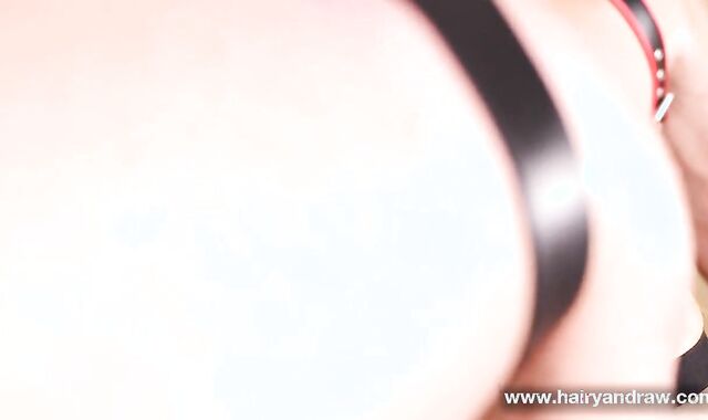 furry Silver Parent And Irish Wolf Flip tear up