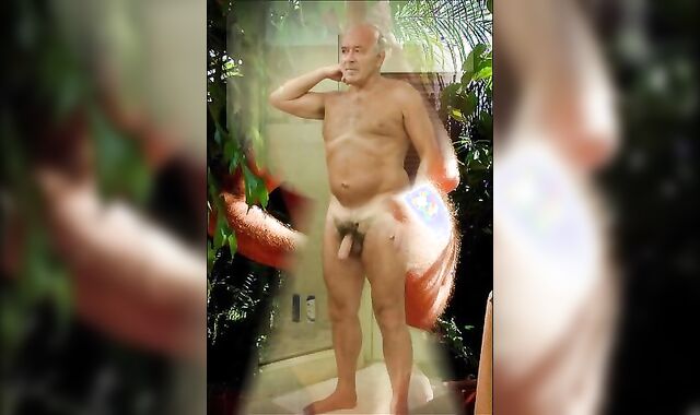 Silver penises Silver dongs Silver Fuck-sticks Silver Daddies older boyfrends