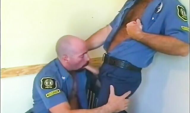 steel Hard fag Grizzly Police Daddies gap poking goo Session