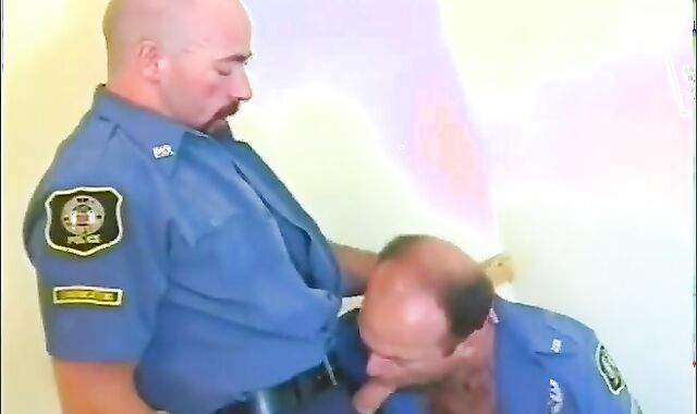 steel Hard fag Grizzly Police Daddies gap poking goo Session